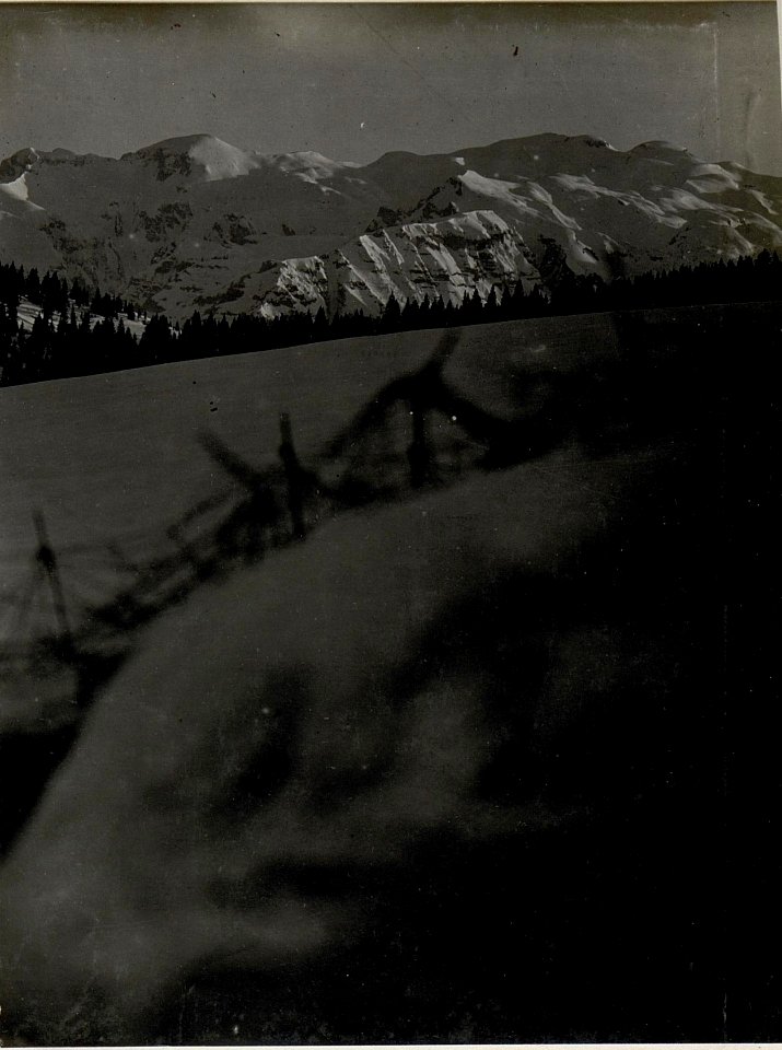 Panorama,Standpunkt Plaut Ost (7. Teilbild zu WK1 ALB083 24370a) (BildID 15631812)