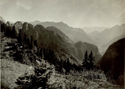 Panorama. Blick am Wege zum Kronalpelsattel nach Süden in das Fellatal...............Aufgenommen, am 22.September 1915. (BildID 15461987)