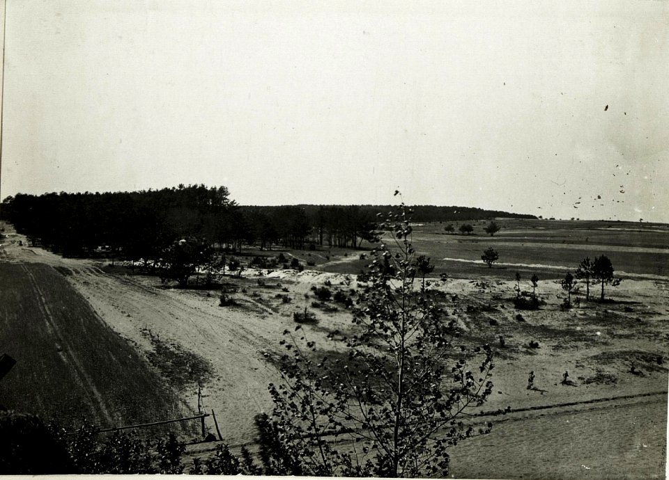 Panorama eigener Stellungen bei Follwark westlich Gorzanow. Geländecharakteristik des Angriffsraumes. (BildID 15589473)
