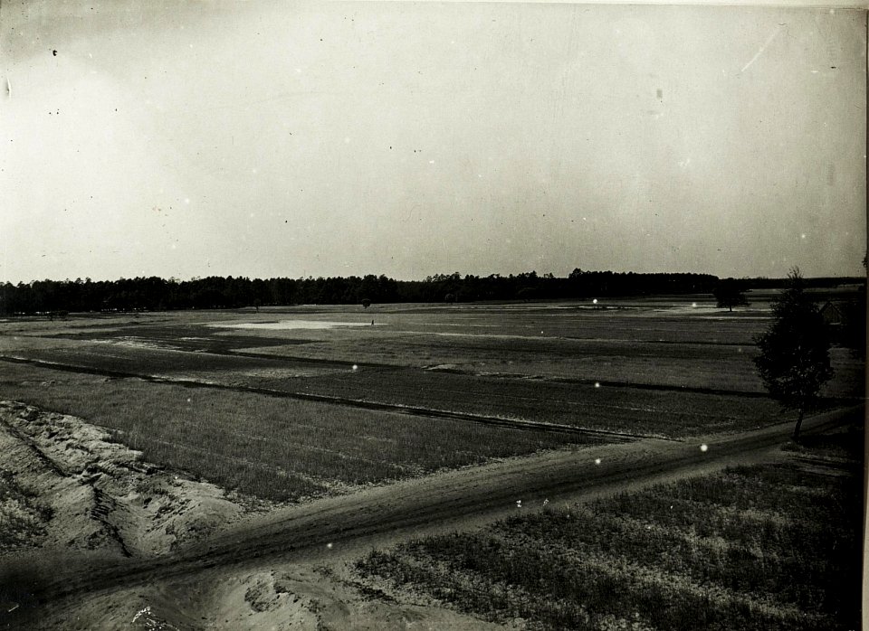 Panorama eigener Stellungen bei und nördlich von Gorzanow (Grafenort). Eigene Schützengräben erkennbar. Geländecharakteristik des Angriffsraumes. (BildID 15589501)