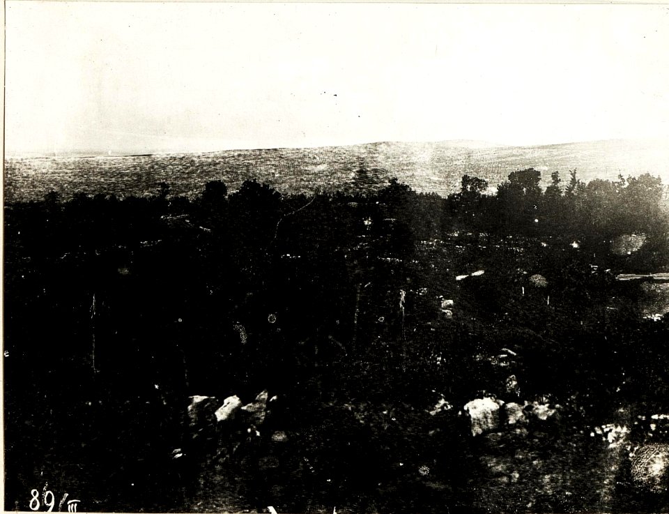Panorama von Pecinka Kote 291, 29.9.1915. (BildID 15594705)