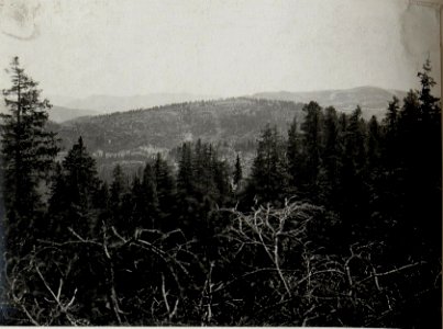 Panorama, Standpunkt Monte Zebio. (2. Teilbild zu WK1 ALB083 24392a) (BildID 15633094)