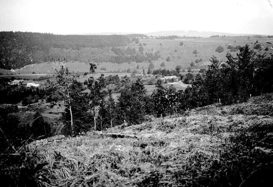Panorama von Pkt. 875 - CH-BAR - 3236550