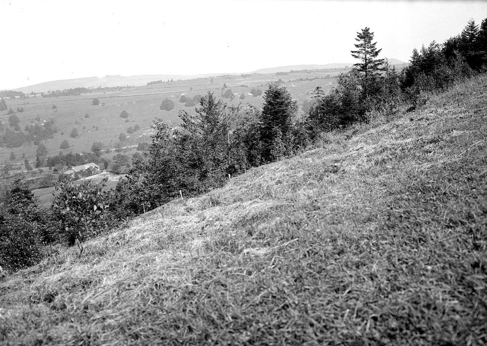 Panorama von Pkt. 875 - CH-BAR - 3236554