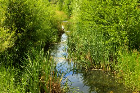Water river nature
