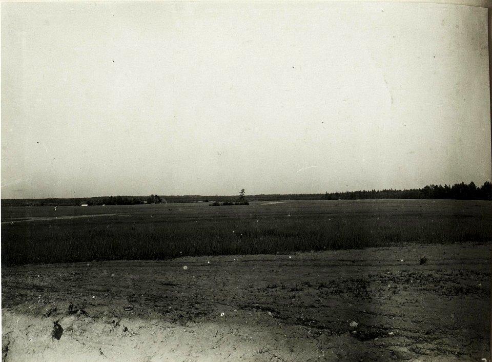 Panorama, Blick auf russische Stellungen östlich Wólka Prusicka. (BildID 15589197)