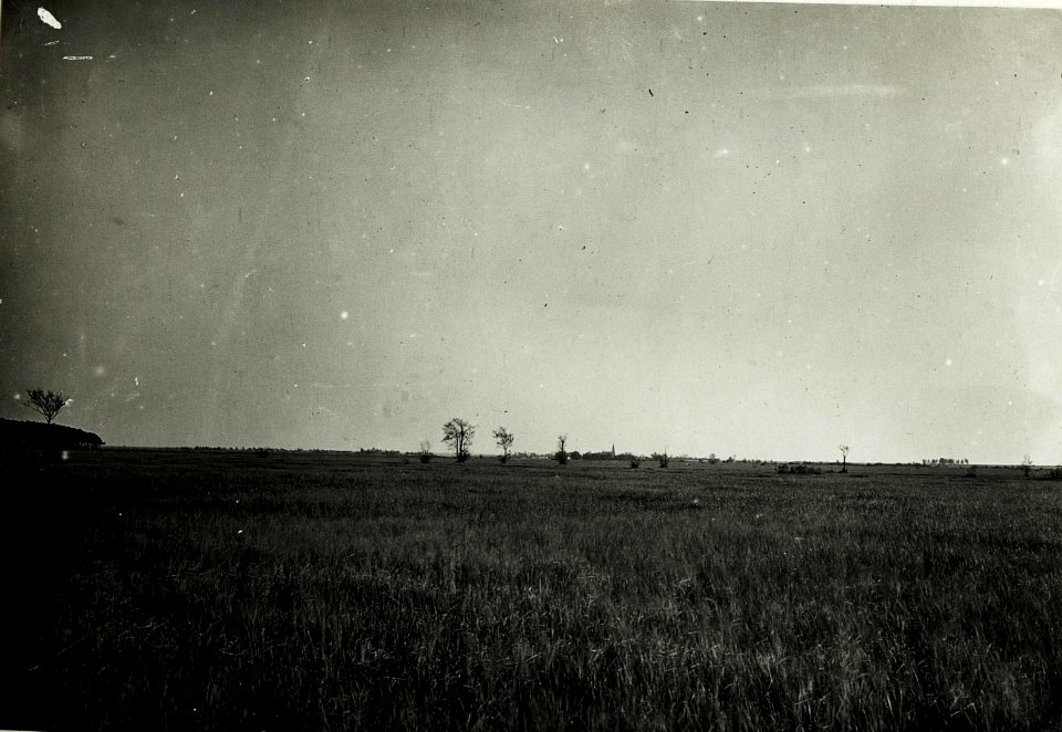 Panorama, Blick auf russisches Verteidigungsfeld von Nowa Brshesniza. (BildID 15589351)