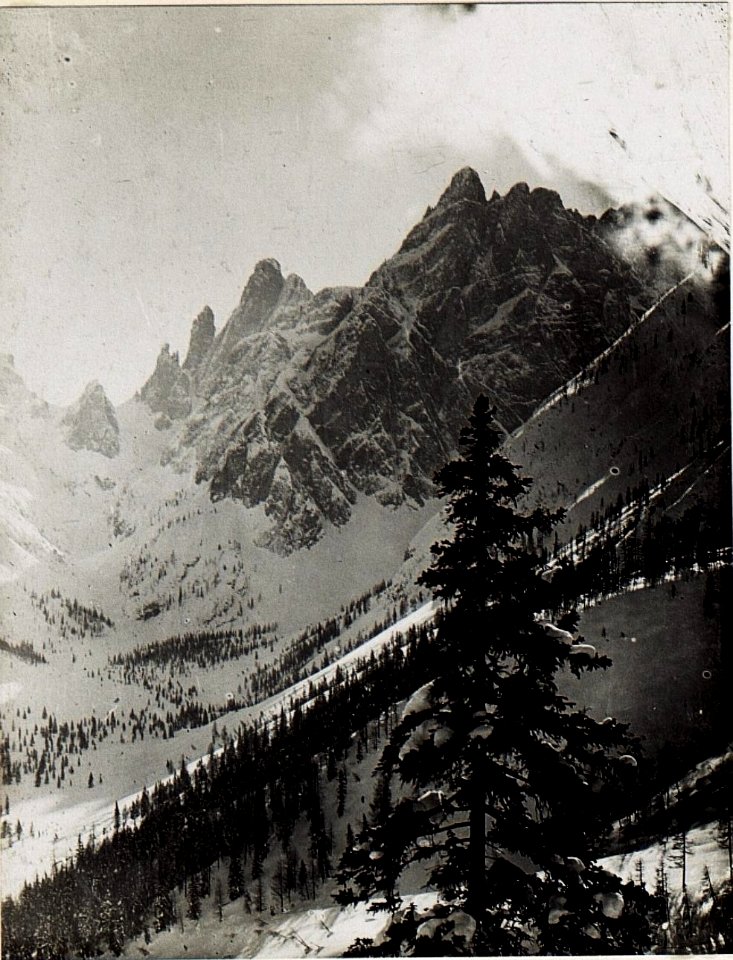 Panorama, Blick vom Artillerie - Beobachterstand auf Altstein. Fischleintal, Rotwand, Santinella, Santinellascharte (feindliche Stellung), Elfer (feindlich), eigene Stellung auf Elferscharte, Az-Alm ( (BildID 15578682)