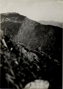 Panorama, Val di Gresta, Biaena. Standpunkt, Creino. (1. Teilbild = WK1 ALB82 24332a) (BildID 15629768)
