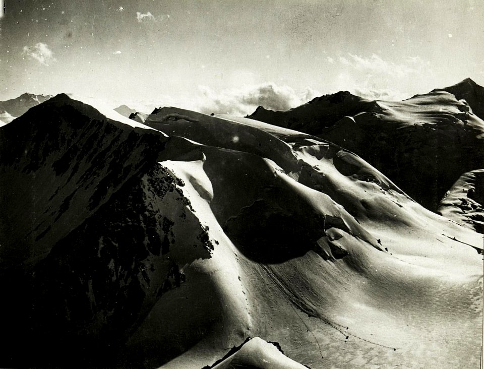 Panorama Standpunkt Monte Vioz-Vorkuppe, Feldwache, Rundblick von der Presanella gegen Südwest bis Nord inclusive Cevedale.- (2.Teilbild zu WK1 ALB016 04374a) (BildID 15423234)