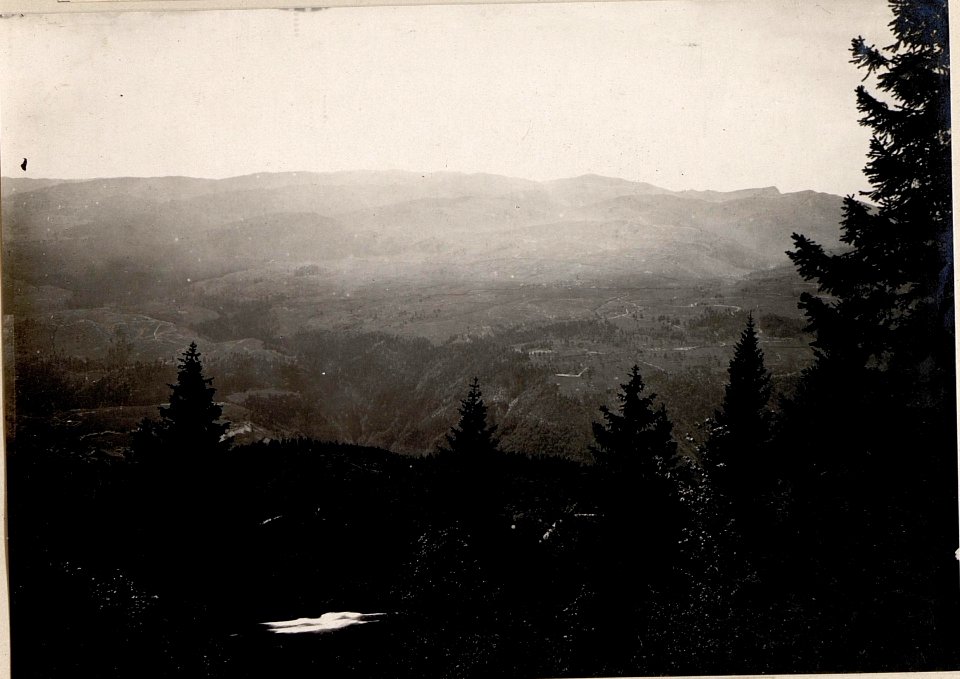 Panorama, Cima Rosso. Standpunkt, Pl. Qu. 15. 36h. (2. Teilbild zu WK1 ALB084 24422a) (BildID 15634898)