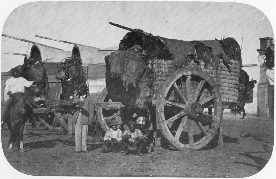 Panunzi, Benito - In der argentinischen Pampa (Zeno Fotografie)