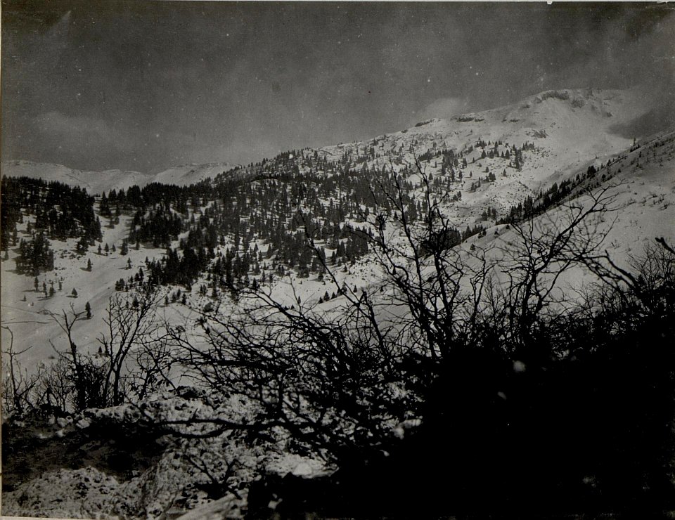 Panorama, Grappa-Gruppe. Standpunkt Monte Pertica. (2. Teilbild zu WK1 ALB083 24410a) (BildID 15633648)