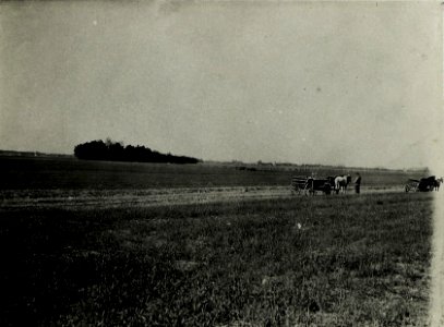 Panoramabild 1, südlich Rzachta beiderseits der Straße. Ansicht der eigenen Angriffsfront von Ost gesehen. (BildID 15588938)