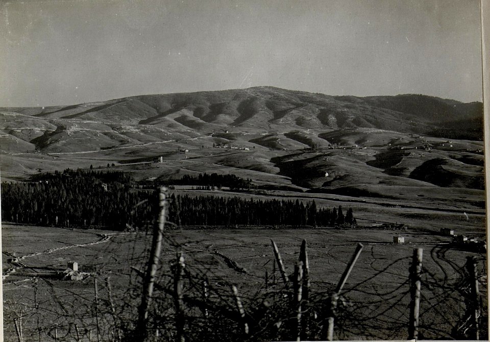Panorama, Hochfläche von Asiago. Standpunkt Monte Katze. 25m.östlich vom Kreuze 1206. (5. Teilbild zu WK1 ALB083 24401a) (BildID 15633402)