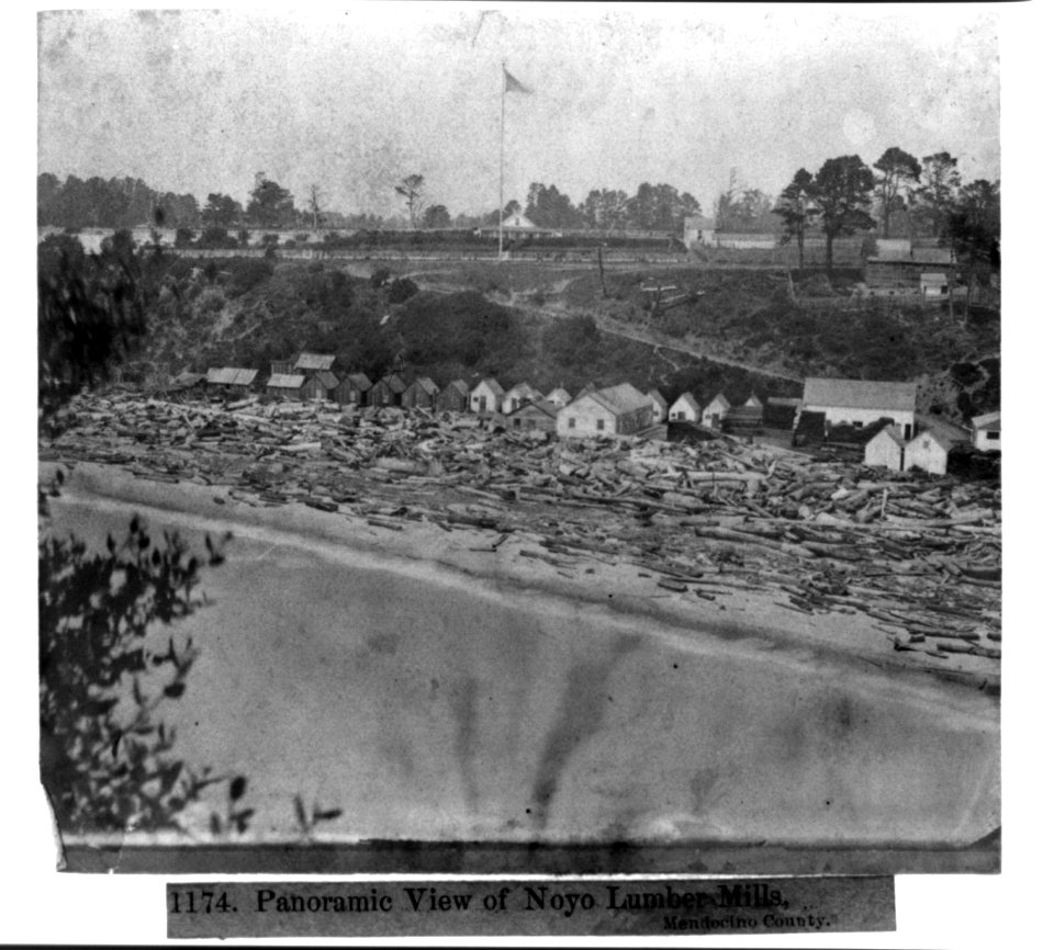 Panoramic View of Noyo Lumber Mills, Mendocino County LCCN2002721091
