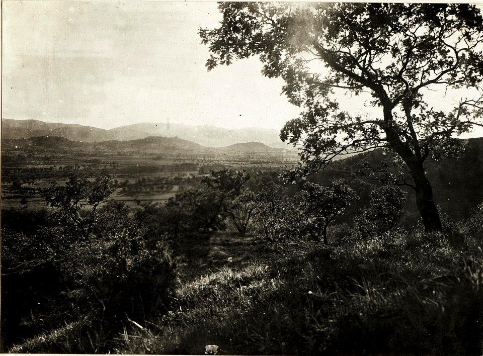 Panorama vom Wippachtal (BildID 15595286)