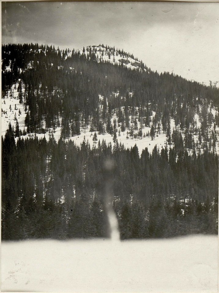 Panorama, Standpunkt bei Mga.2 Post ¤ 1444. (6. Teilbild zu WK1 ALB083 24373a) (BildID 15632015)