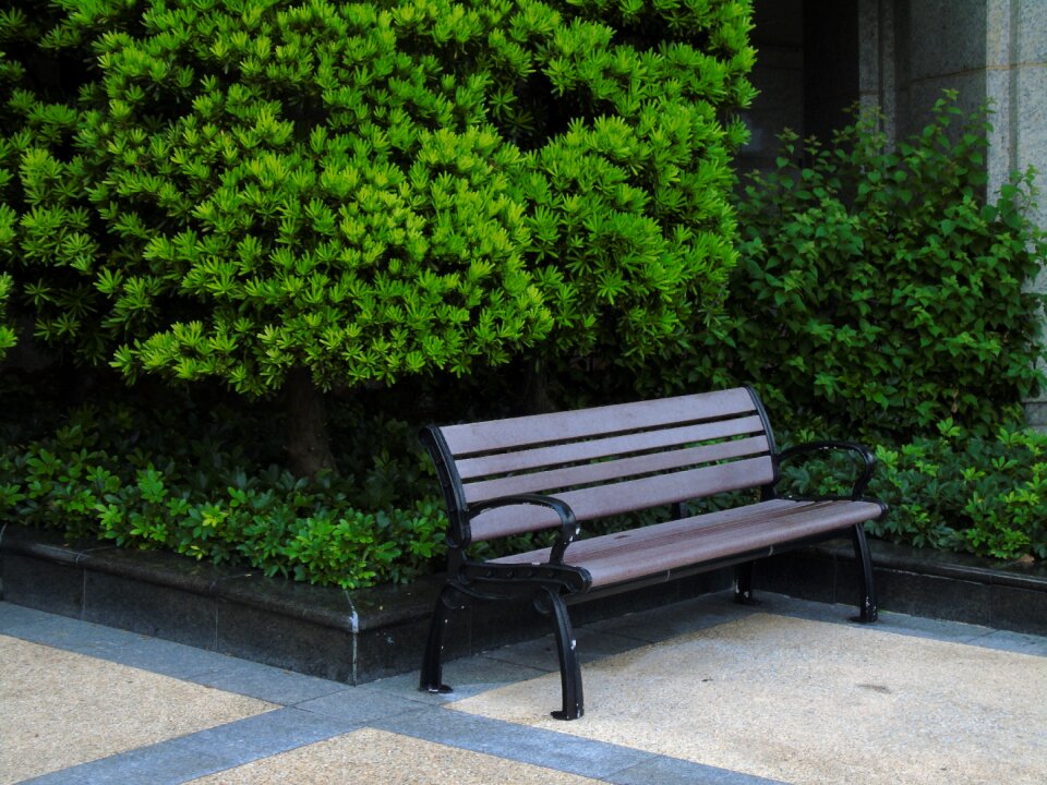 Missing green thinking green alone