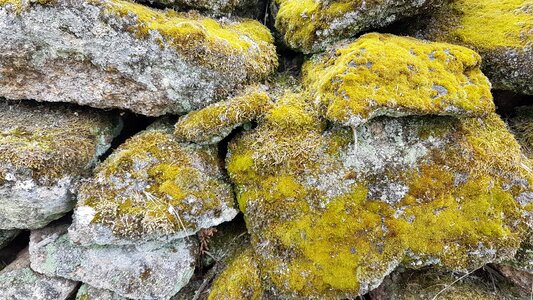 Natural outdoor surface