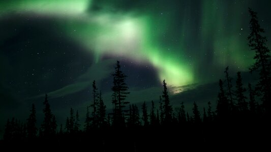 Aurora northern lights teriberka photo