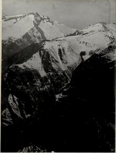 Panorama, Doss die Morti, Daone, kleiner Nozzolo. Standpunkt, Nozzolo. (2. Teilbild zu WK1 ALB082 24343a) (BildID 15630307)
