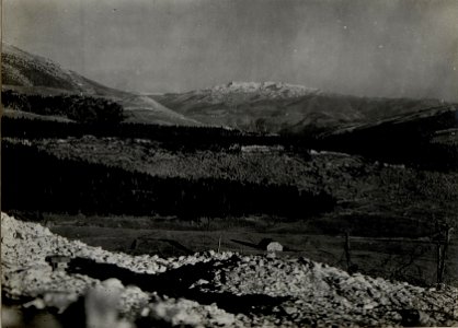 Panorama, Hochfläche von Asiago. Standpunkt Monte Katze. 25m.östlich vom Kreuze 1206. (3. Teilbild zu WK1 ALB083 24401a) (BildID 15633388)