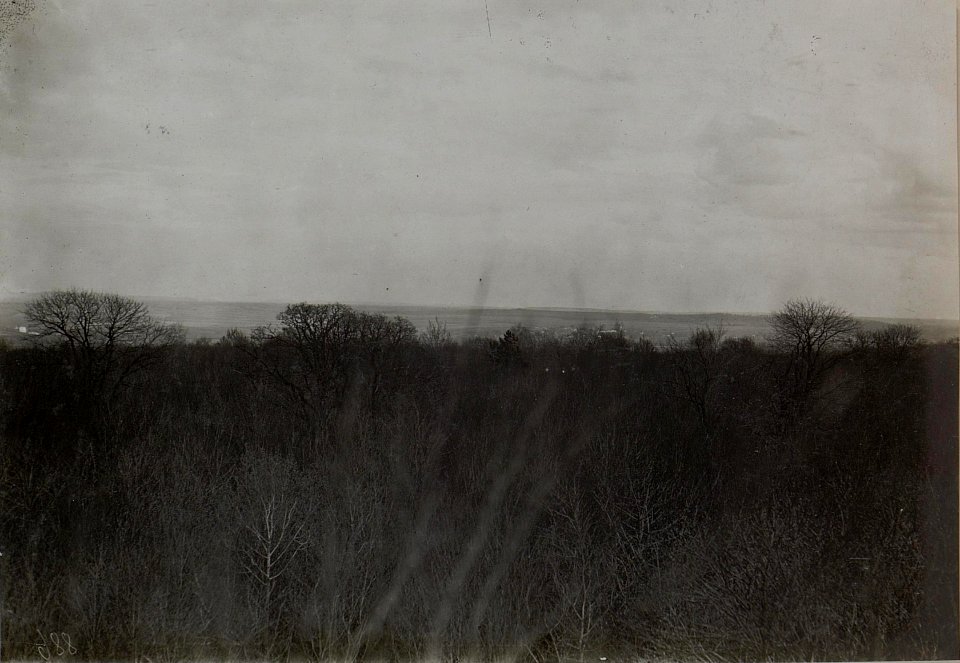 Panorama, möglicherweise bei Zwyczyn (BildID 15441803)