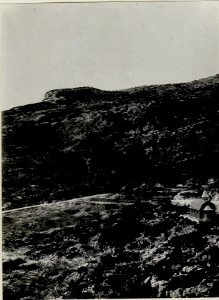 Panorama, Portub. (3 Teilbild zu WK1 ALB082 24361a) (BildID 15630770)