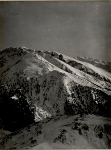 Panorama, Prima luna, Val piana piccola, Standpunkt, Val piana. (3. Teilbild zu WK1 ALB082 24338a) (BildID 15630013)