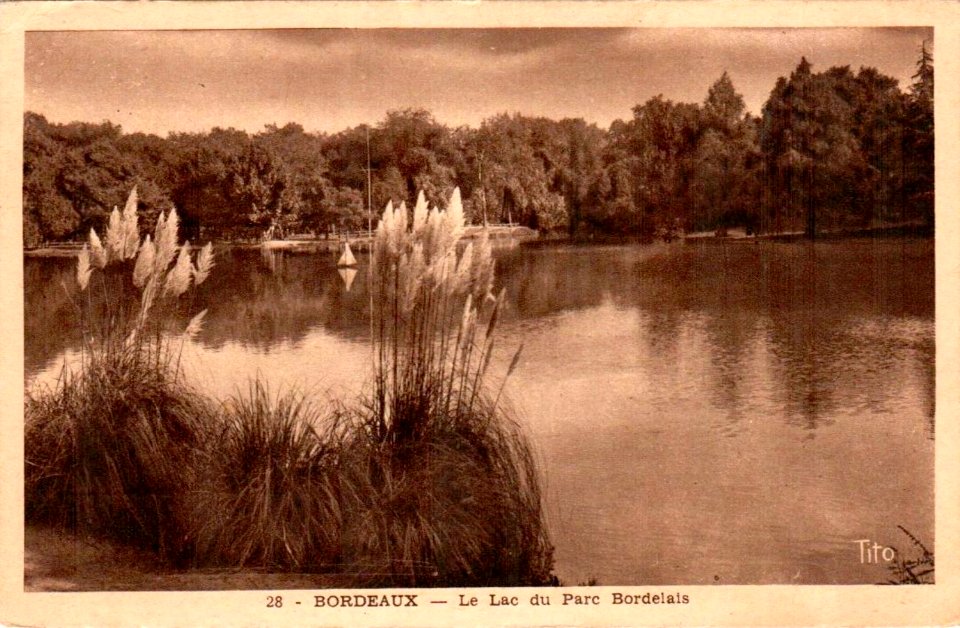 Parc Bordelais - Lac 8b