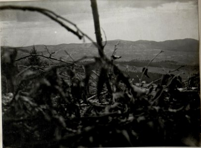 Panorama, Standpunkt Beobachtungsstand, Pl.Qu.96.h.45.r83. (3. Teilbild zu WK1 ALB083 24412a). (BildID 15633697)