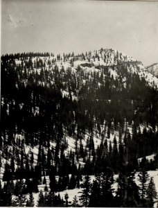 Panorama, Standpunkt Durer. (4. Teilbild zu WK1 ALB983 24371a) (BildID 15631847)