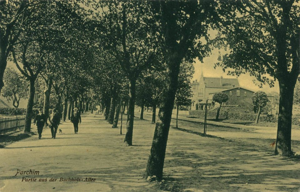 Parchim (Meckl.), Mecklenburg-Vorpommern - Buchholzallee (Zeno Ansichtskarten)