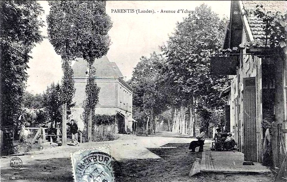 Parentis - avenue d'Ychoux