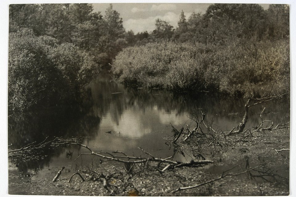 Parachonsk. Парахонск (J. Bułhak, 1937)