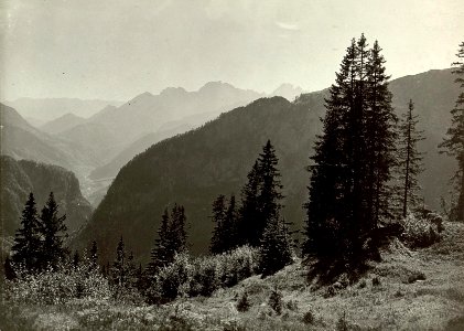 Panorama. Blick am Wege zum Kronalpelsattel nach Süden in das Fellatal...............Aufgenommen, am 22.September 1915. (BildID 15461994)