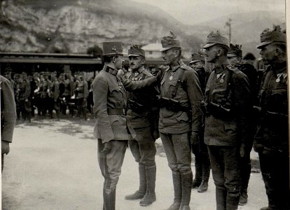 Parade des Infanterieregiments No. 59 vor Kaiser Karl in Trient (BildID 15628718)