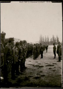 Parade des Infanterieregiments Nr. 59 vor Kaiser Karl in Trient (BildID 15733321)