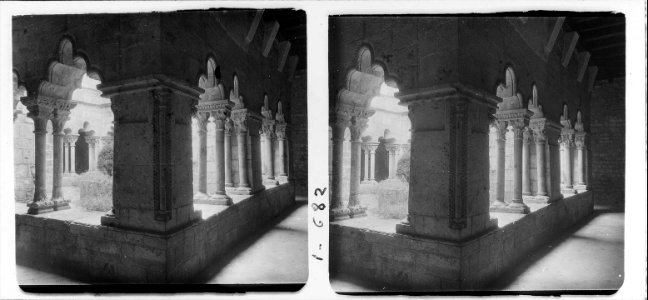 Panoràmica del claustre del monestir de Sant Pau del Camp de Barcelona
