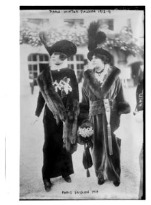 Paris Fashion - 1914 LCCN2014695018