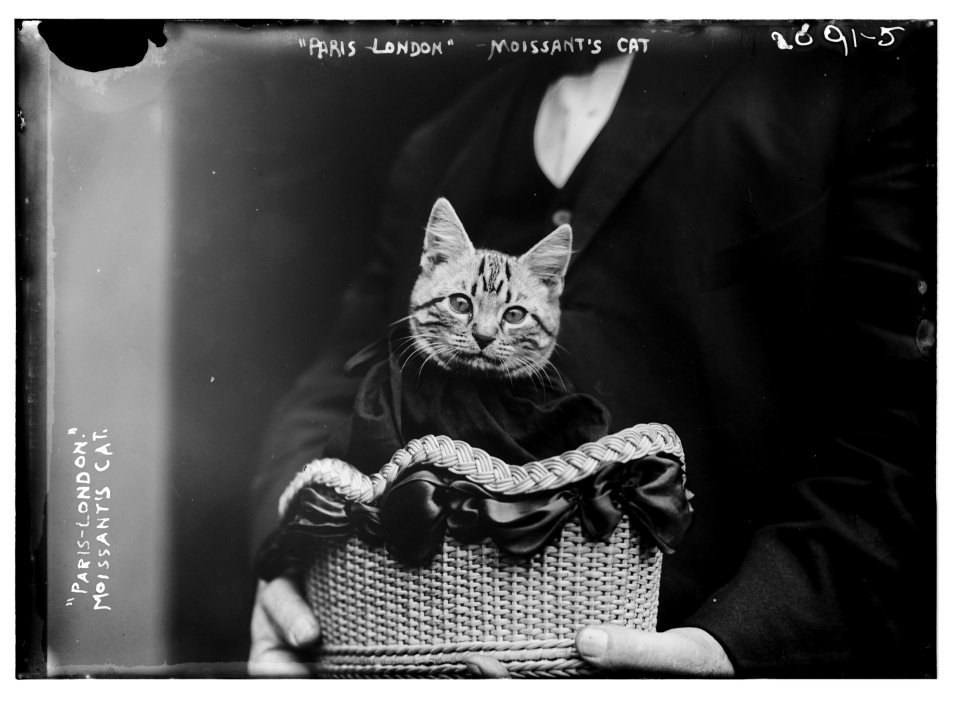 Paris-London Moissant's cat LCCN2014688627
