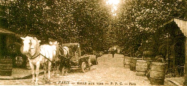 Paris la Halles aux vins