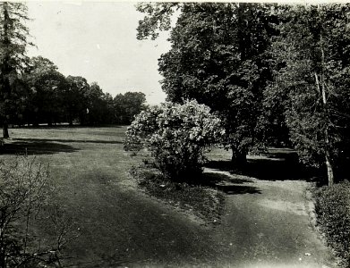 Park bei einem galizischen Herrenhaus. (BildID 15592974)