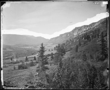 PARK NEAR HEAD OF CONEJOS CANYON, COLORADO - NARA - 524303