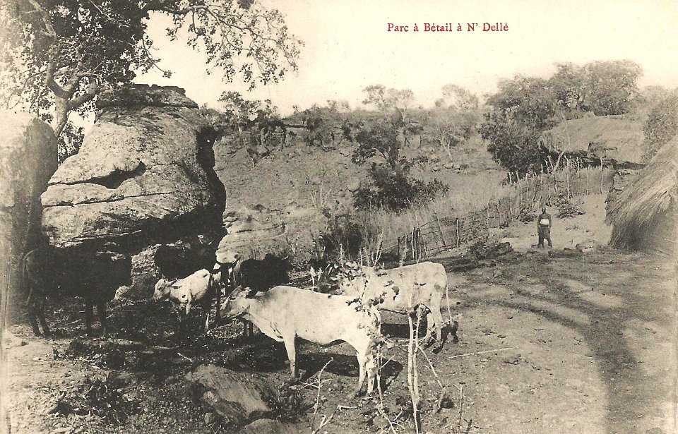 Parc à Bétail à N'Dellé
