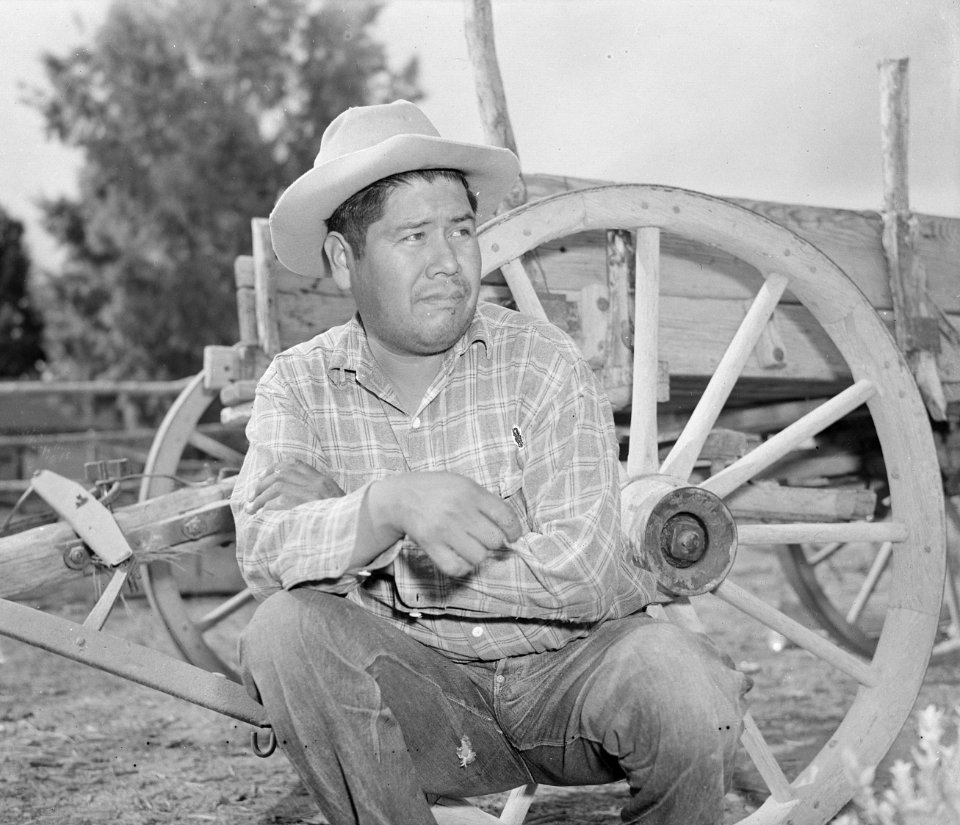 Parker, Arizona. Henry Welsh, Mojave Indian and chairman of the tribal council of the Colorado Rive . . . - NARA - 536247