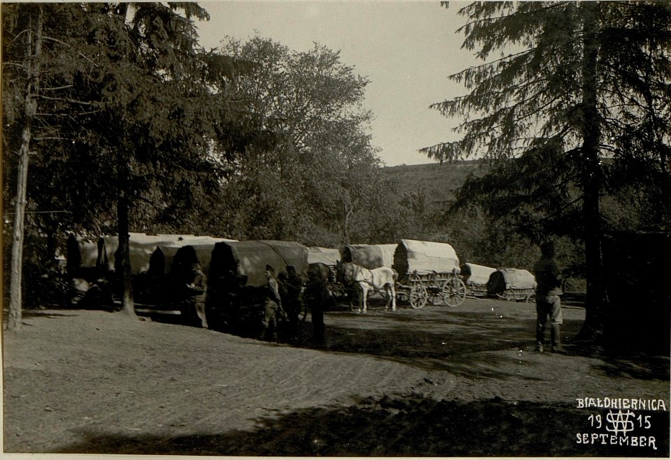 Parkierender Train, Bialokiernixa. (BildID 15521798)