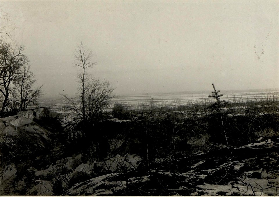 Park des Schlosses Czarkov in südlicher Richtung. (BildID 15539439)