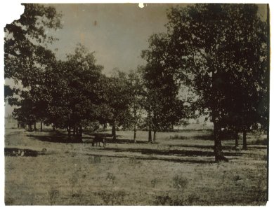 Park LOC nclc.04821